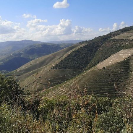 Douro Valley - Casa Da Praca Ervedosa do Douro Exterior foto