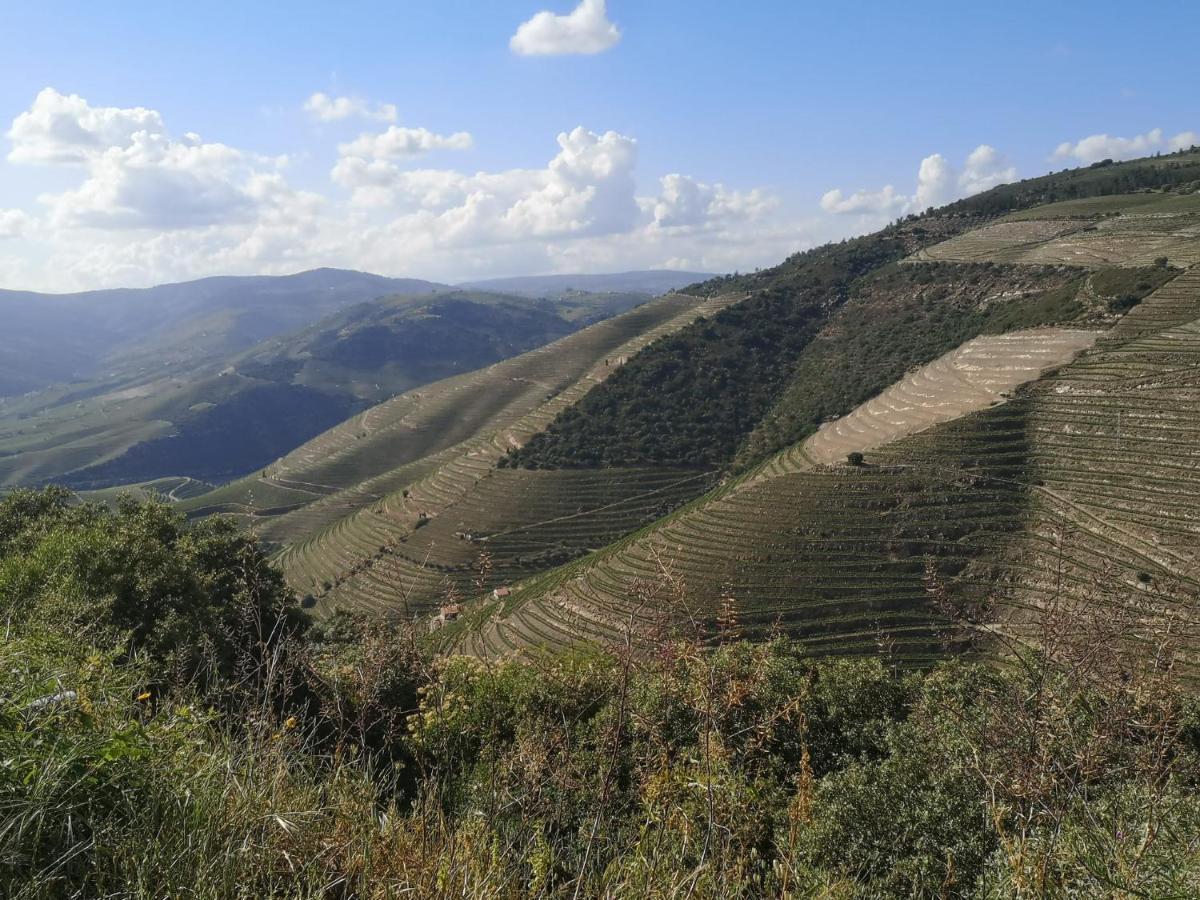 Douro Valley - Casa Da Praca Ervedosa do Douro Exterior foto