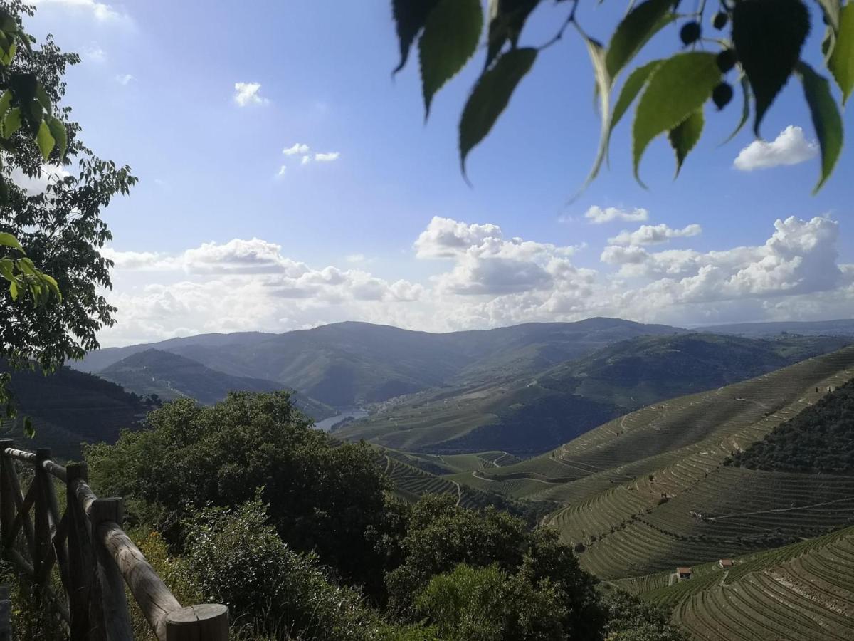 Douro Valley - Casa Da Praca Ervedosa do Douro Exterior foto